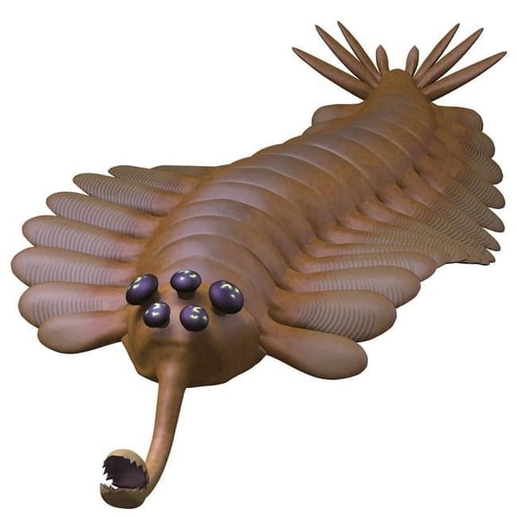 Opabinia is A Small Predator of Cambrian Seas & Hunted Worms & Soft Bodied Prey with Its Proboscis Poster Print - 14 x 14