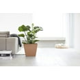 thumbnail image 3 of Ecopots Rotterdam Durable Modern Square Indoor/Outdoor Recycled Based Composite Flower Planter, Terracotta Color, 12", 3 of 4