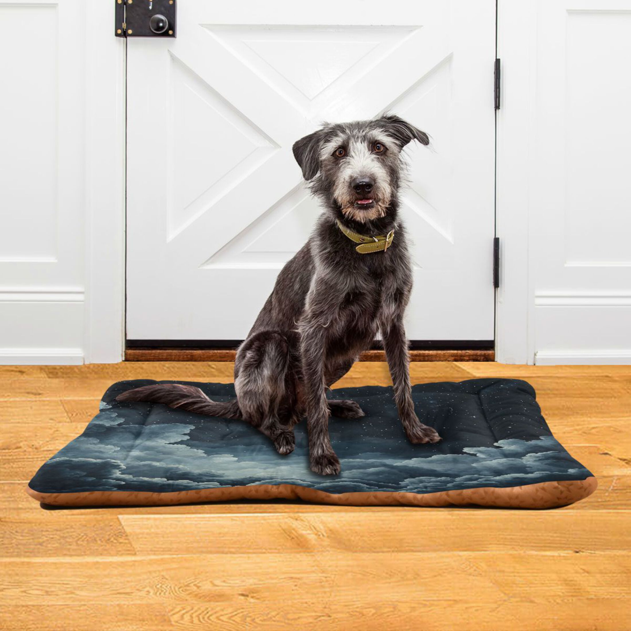 Qxltty Starry Night Sky Picture Ped Pad Wear-resistant and Hard to Bite Through Sleeping Pad for Small Medium Large Dogs Winter Pet Bed 36×24in
