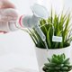 thumbnail image 3 of 3 PCS Tapa de botella de aspersor 2 en 1 Boquilla de riego de flores de plástico Regaderas de botellas de flores Cabezal de ducha Herramienta de jardín Color gris Robusto y rentable Útil y agradable, 3 of 5