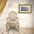 thumbnail image 3 of Goebel, Wilhelm 18x12 Gold Ornate Wood Framed with Double Matting Museum Art Print Titled - Canvasbacks Coming In, 3 of 4