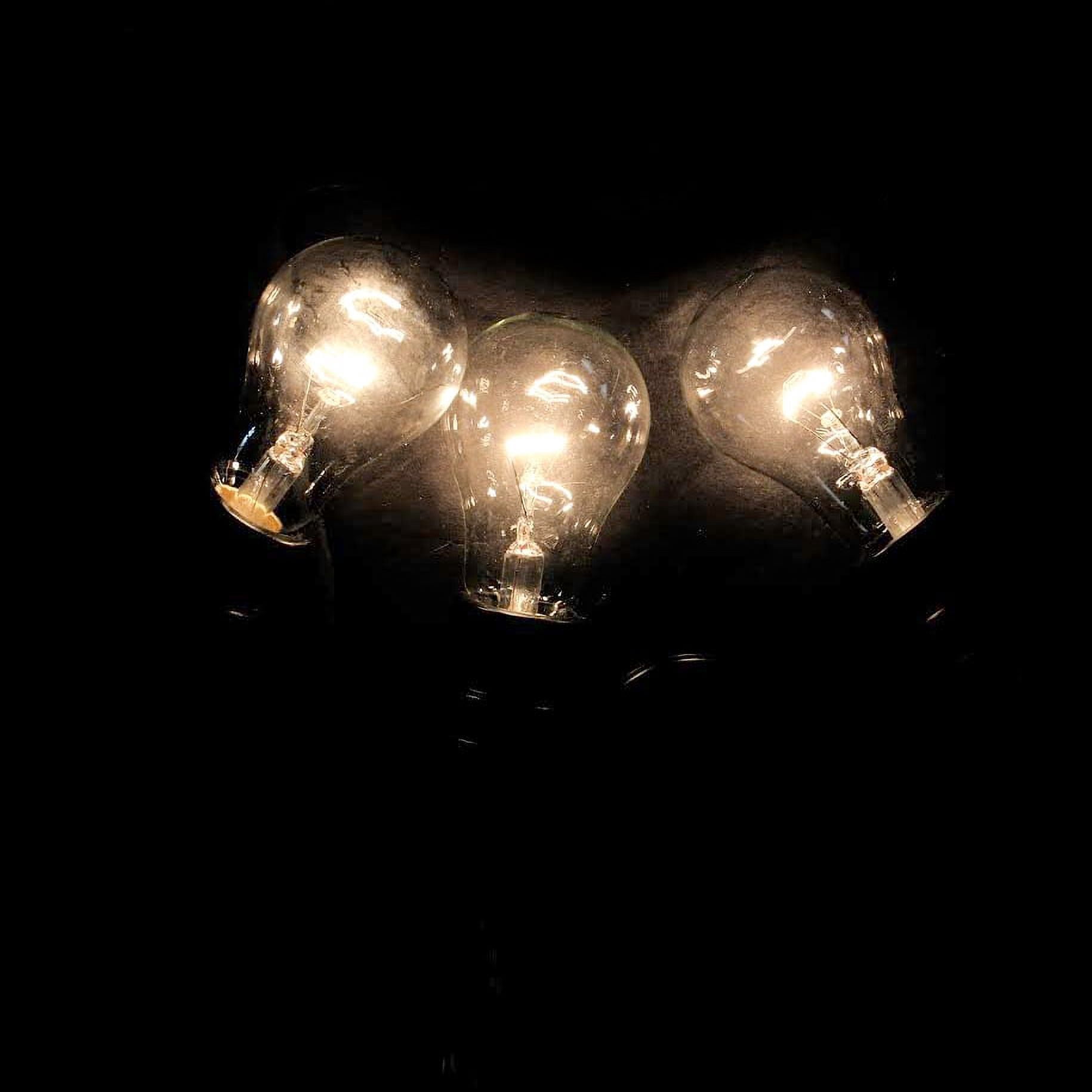 Set of 15 Commercial Grade Adjustable Drop Length E17 "A" Shape Clear Christmas Lights
