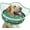 Green, variant on Elevated Inflatable Dog Cone Collar to Stop Licking, Doggie Donut Collar After Surgery, Soft Dog Cone Alternative for Small Medium Large Dogs