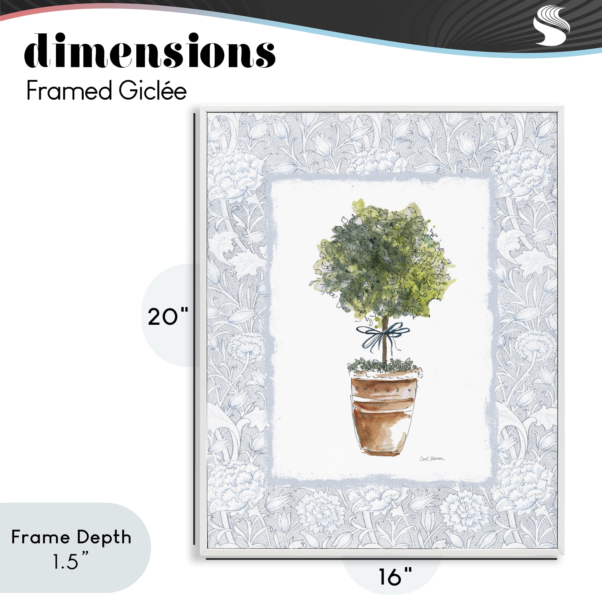 Stupell Industries Potted Topiary in Terracotta White Framed Giclee Art, design by Carol Robinson