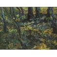thumbnail image 2 of Van Gogh, Vincent 14x12 Black Ornate Wood Framed with Double Matting Museum Art Print Titled - Undergrowth, 2 of 4