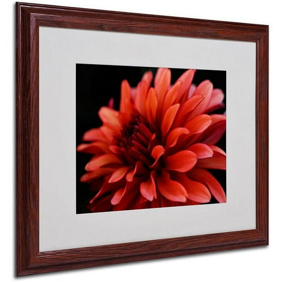 Trademark Art 'Red Dahlia' Matted Framed Art by Kurt Shaffer