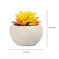 thumbnail image 5 of (2 pack) Mainstays 3.54" Artificial Succulent Plant in Cement Pot, Yellow & Orange, 5 of 7