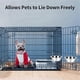 thumbnail image 4 of Kennel Water Bowl Hanging,Stainless Steel Puppy Bowls, 4 of 5