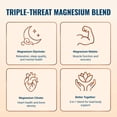 thumbnail image 2 of Live Conscious Magwell Magnesium Complex with Zinc & Vitamin D3 - Sleep, Bone, Heart, Immune Support - 120 Caps, 2 of 9