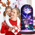 thumbnail image 4 of Eternal Roses Beauty And Animal Rose Kit In Glass Dome Led Lights Artificial Flowers Rose Gifts For Women Mum Gift, 4 of 5