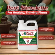 Hormex Vitamin B1 Rooting Hormone Concentrate – Root Stimulator and Root Hormone, 32oz