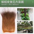 thumbnail image 3 of Corteza de palma Racoon Sisal Fino Abeto 5 Hojas para trepar Natural Marrón Seda Tanktops Plantas Artificiales Interior, 3 of 6