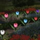 thumbnail image 3 of Luces De Con Energía Sor Jardín Flor De coración De Paisaje adaptaciónción Para Bodas, Fiestas, CUTICAT Tulip Garden Stake Lights, 3 of 8