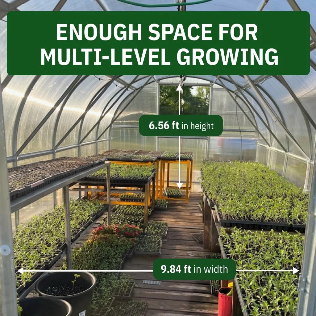 10x20ft Polycarbonate Outdoor Greenhouse, Walk-in Green House with Galvanized Steel Frame for Backyard Gardening