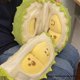 thumbnail image 4 of Juguetes de Peluche de Frutas Que Alivian el Estrés, Atraen la Atención, Juguetes de Descompresión, Muñecos de Peluche Que Se Pueden Romper, Regalos Navideños Amarillos, 4 of 5