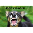 thumbnail image 4 of SAFETY-SPORT DOG HORN XL, 4 of 9