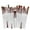 D, variant on EARKITY 20 pcs Makeup Brush Set Tools Make-up Toiletry Kit Wool Make Up Brush Set,Makeup Brushes Artisan Easel Elite Cosmetics Make up Brush Set, Complete Makeup Brush Set