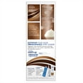 thumbnail image 4 of Clairol Nice'n Easy Permanent Hair Color, Natural Light Brown, 6/ 116, 4 of 7