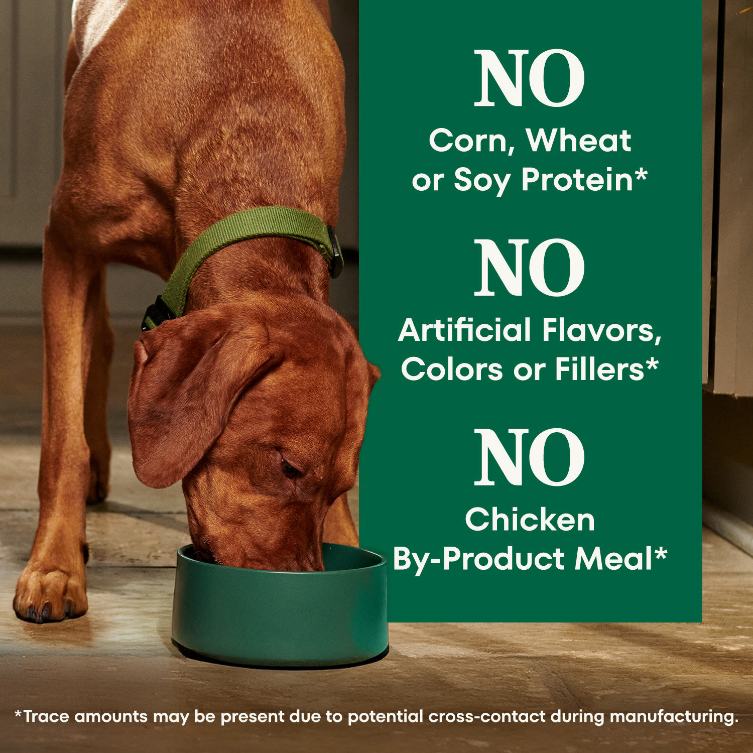 Nutro Natural Choice Senior Dry Dog Food, Chicken and Brown Rice photo 8