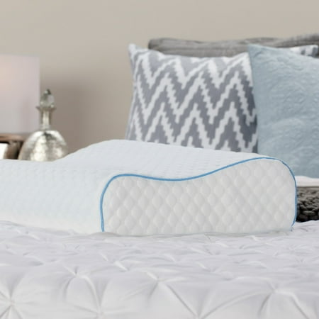 sealy memory foam pillow