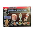 thumbnail image 2 of Tedco Toys 32014 Human Anatomy Large Science Kit, 2 of 2