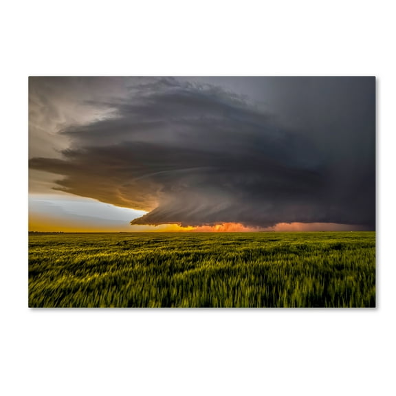 Trademark Fine Art 'Storm At Sunset' Canvas Art by Rob Darby