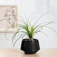 thumbnail image 5 of SPRING Flower Pot Root Control Breathable Double Layer Flower Pot Plastic Resin Pot, 5 of 9