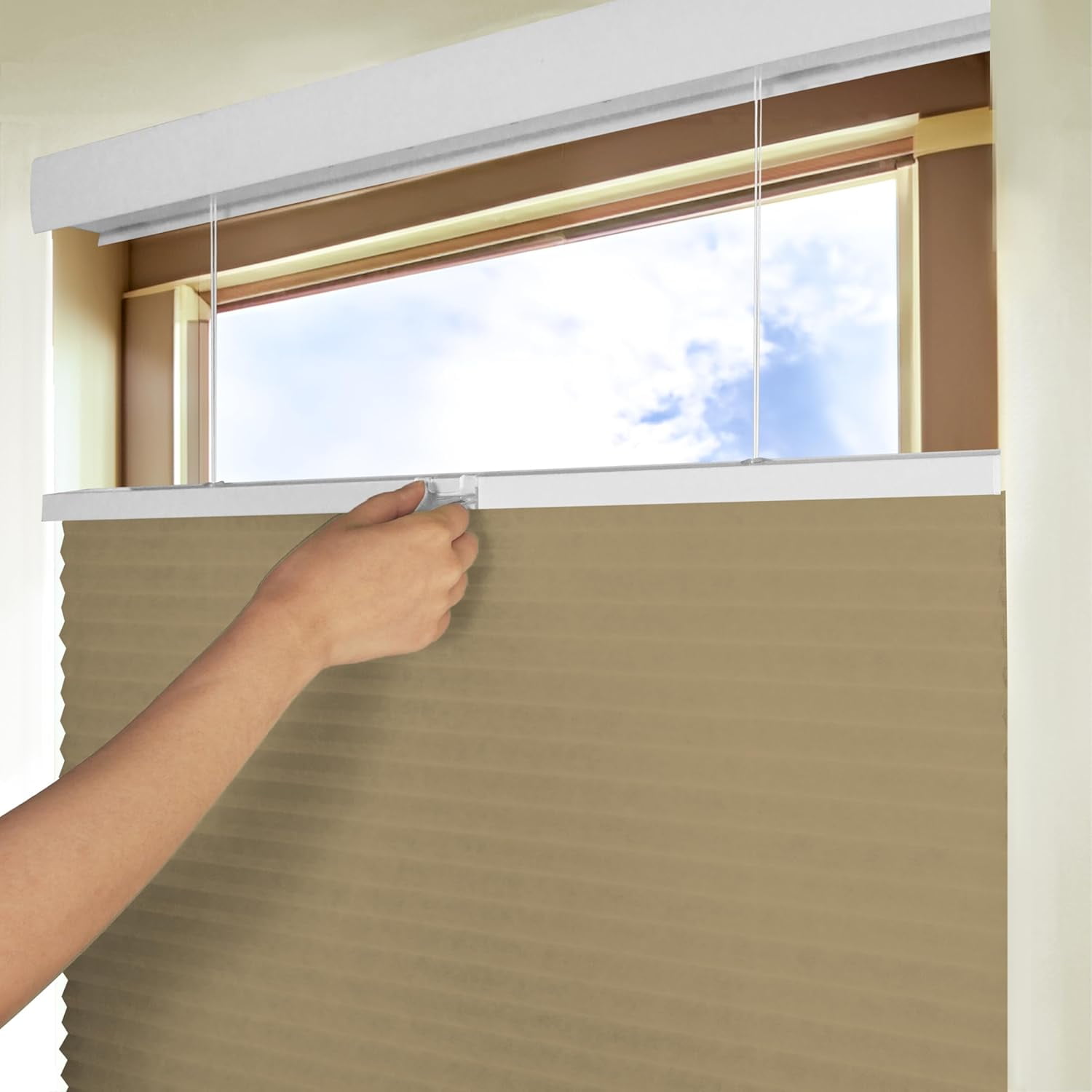 Chicology Sand Light Filtering Cordless Top Down Bottom Up Cellular Shades 59 in. W x 72 in. L