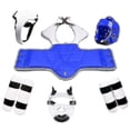 thumbnail image 1 of Taekwondo -piece Set Taekwondo Protective Ar Armor Kickboxing Boxing G Taekwondo Equipment Protector, 1 of 3