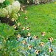 thumbnail image 5 of Darzheoy 10pcs Garden Bee Stakes Decorative, Outdoor Yard Art Garden Decor, Cute Bee Design Decorative Garden Stakes for Garden Lawn Plant Pot, Spring Decor, 5 of 8