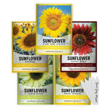 Sunflower Planting Seeds | 5 Variety Pack