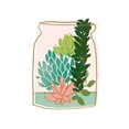 thumbnail image 2 of Vess, June Erica 20x24 White Modern Wood Framed Museum Art Print Titled - Terrarium Cameo VIII, 2 of 4