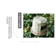 thumbnail image 3 of Nido de pájaro de hierba de caña, jaula de pájaros tejida a mano, lugar de descanso acogedor para pájaros, 3 of 10