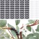 thumbnail image 1 of Clips de soporte para plantas, 120 unidades, 90 grados, para doblar tallos de plantas, clips de entrenamiento de bajo estrés para plantas de exterior, entrenamiento de bajo estrés, bricolaje., 1 of 5