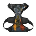 thumbnail image 5 of Lsque Various Herbs And Spices In Spoons Dog Harness, No-Pull Pet Harness with 2 Leash Clips, Adjustable Soft Padded Dog Vest with Easy Control Handle for Large Dogs-X-Large, 5 of 9