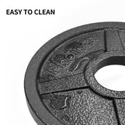 PROIRON Cast Iron Olympic Plate 5Lb, Pair