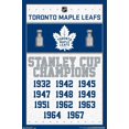 thumbnail image 1 of Maple Leafs de Toronto de la LNH - Champions 16, 1 of 4