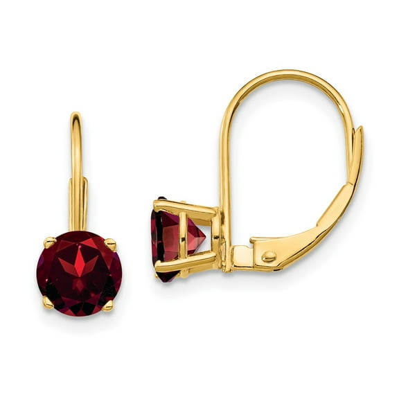 Primal Gold 14 Karat Yellow Gold 6mm Garnet Leverback Earrings