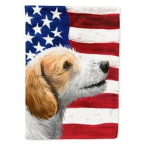 Carolines Treasures CK6574GF Istrian Coarse-haired Hound American Garden Size outdoor-flags, Multicolor