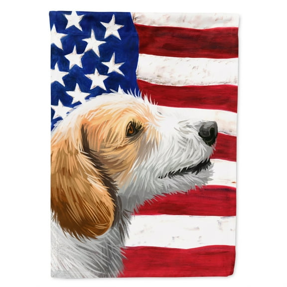 Carolines Treasures CK6574GF Istrian Coarse-haired Hound American Garden Size outdoor-flags, Multicolor