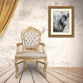 thumbnail image 3 of McCavitt, Naomi 25x32 Gold Ornate Wood Framed with Double Matting Museum Art Print Titled - Dappled Grey II, 3 of 4