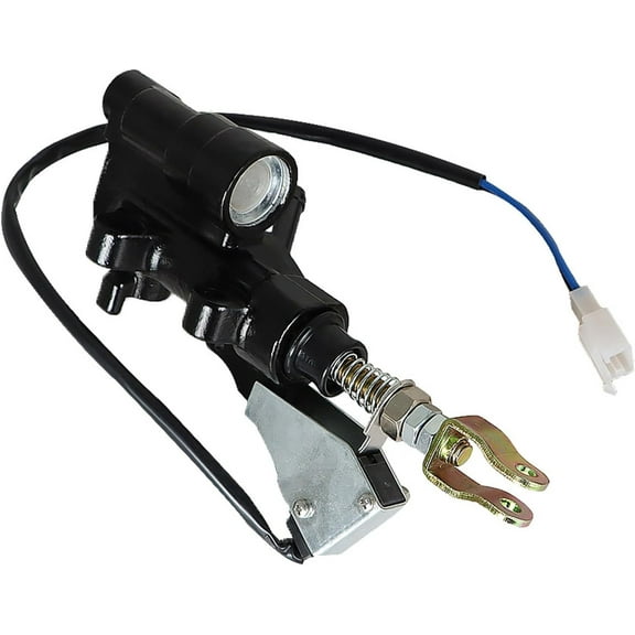 munirater Rear Brake Master Cylinder 43510-MT8-305 Replacement for Goldwing 1500 GL1500A Aspencade GL1500SE 1995-2000