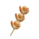 thumbnail image 5 of Mini barbacoa, Kebabs, juego de comida, barbacoa de aprendizaje, juguetes de cocina, comida de barbacoa en miniatura para niños, regalos de vacaciones Mariscos, 5 of 8