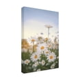 thumbnail image 2 of Philippe Sainte-Laudy 'Fields of Marguerite' Outdoor Canvas, 2 of 3