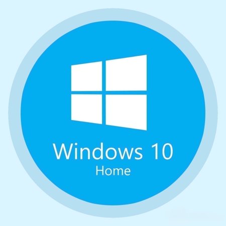 Win 10 Home Product Key (Digital Download) 1 User