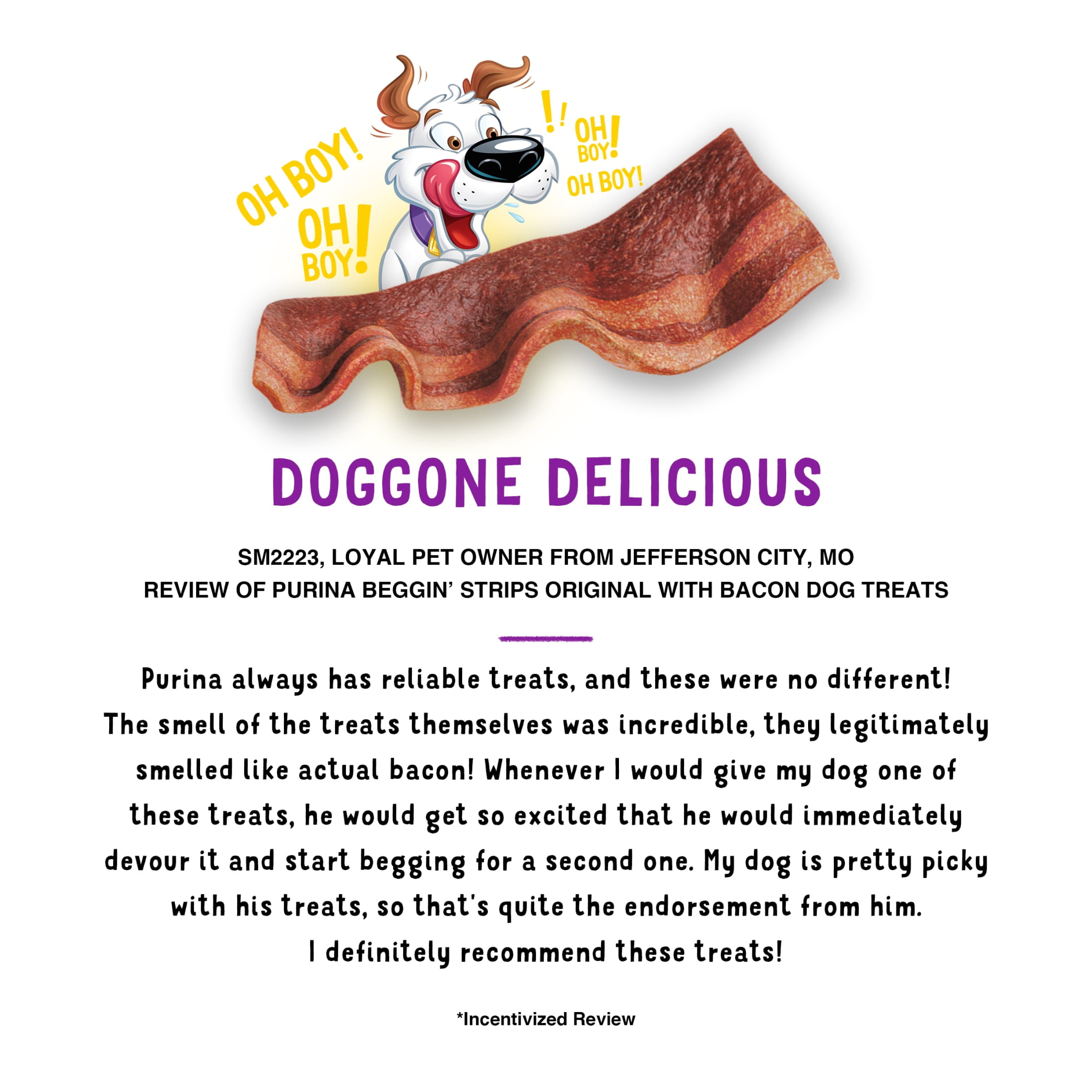 Purina Beggin' Strips Dog Treats, Original With Bacon Flavor, 25 oz.
