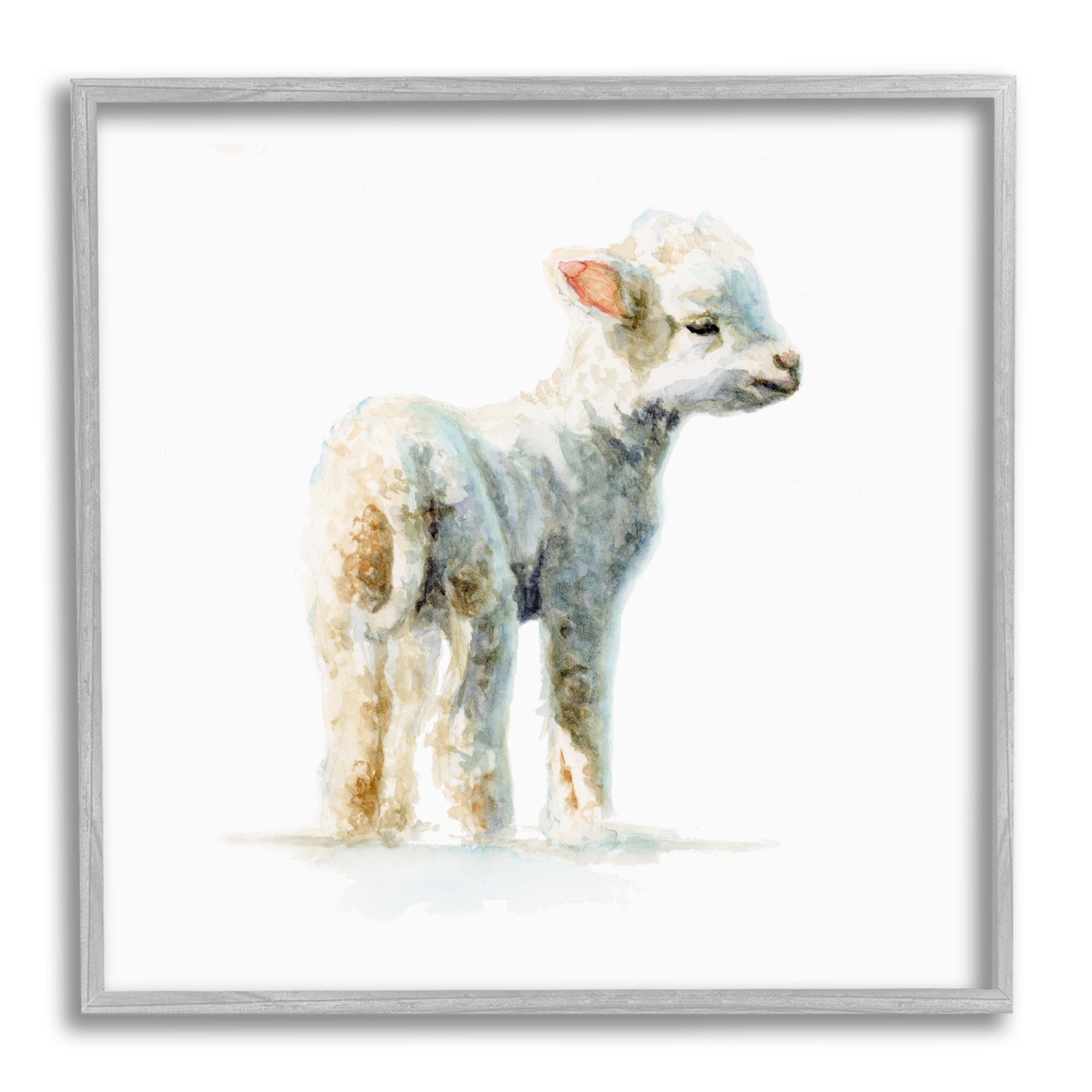 Stupell Industries Shaggy Lamb Watercolor Painting Children's Nursery Animal, 24 x 24,Design by Fox Hollow Studios