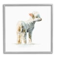 thumbnail image 5 of Stupell Industries Shaggy Lamb Watercolor Painting Children's Nursery Animal, 24 x 24,Design by Fox Hollow Studios, 5 of 5