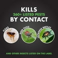 thumbnail image 4 of Spectracide Triazicide Insect Killer for Lawns, Ready-to-Spray Concentrate, 32 Ounces, 4 of 12