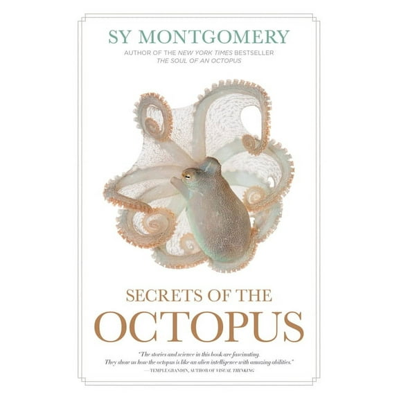 Secrets of the Octopus, (Paperback)